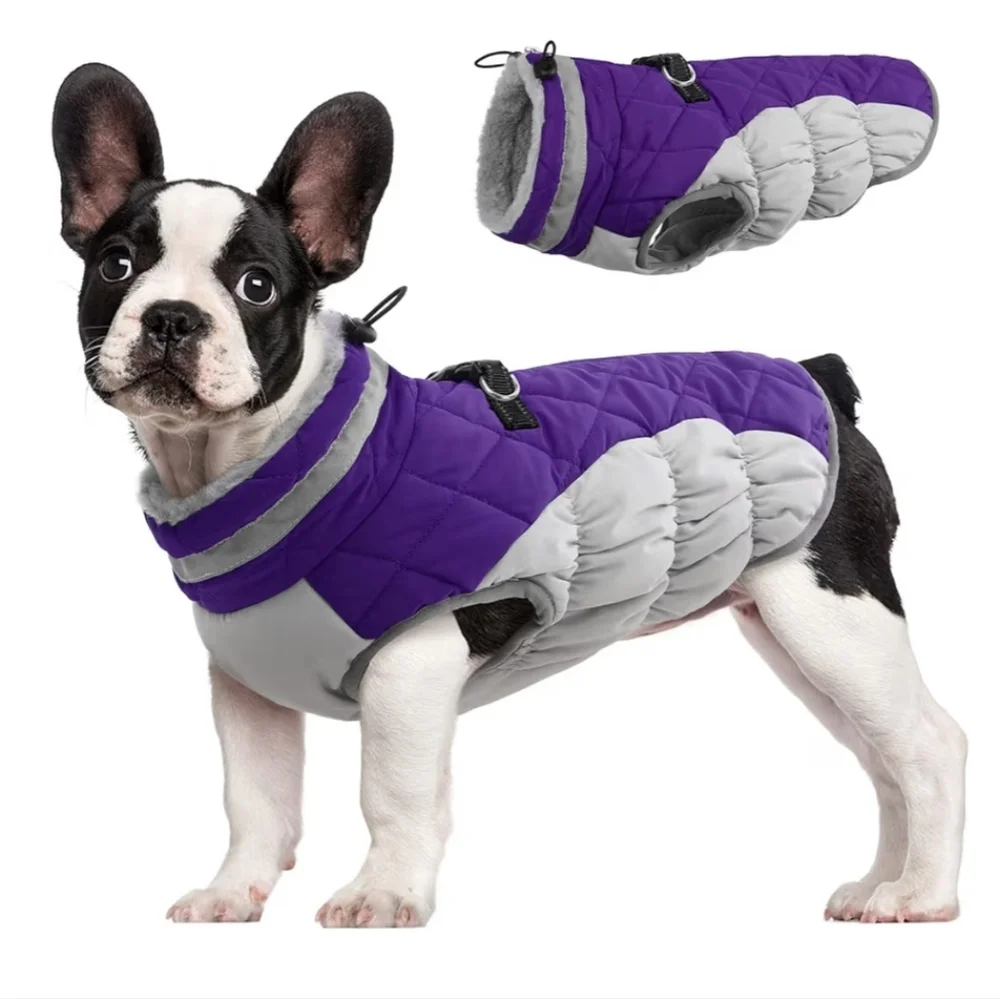 Purple and Gray Dog Jacket Medium NWOT
